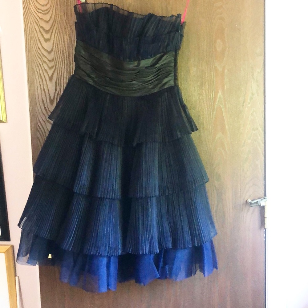 Betsy Johnson Dress